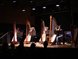 Audition de Harpe