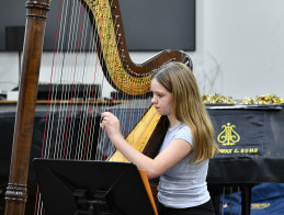 Harp Audition | Noëlle VERA