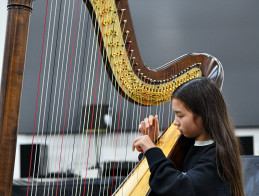 Harp Audition | Noëlle VERA