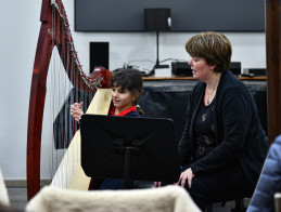 Harp Audition | Noëlle VERA