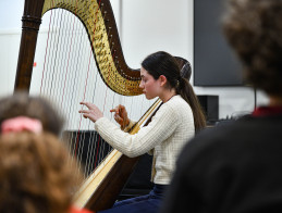 Harp Audition | Noëlle VERA