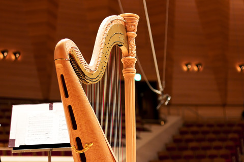 French Harp Competition | 14th edition