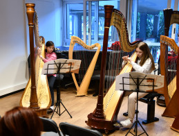 Audition de Harpe | Noëlle VERA