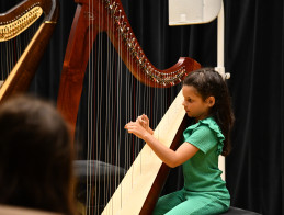 Audition de Harpe | Noëlle VERA