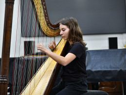 Harp Audition | Noëlle VERA