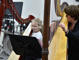 Harp Audition | Noëlle VERA