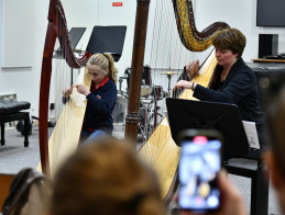 Harp Audition | Noëlle VERA