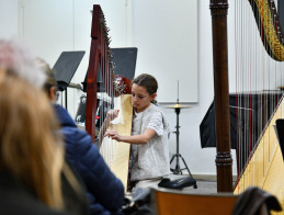 Harp Audition | Noëlle VERA