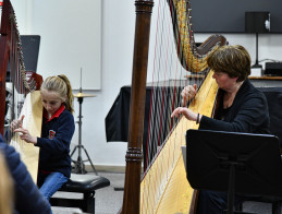 Harp Audition | Noëlle VERA