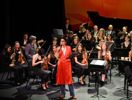 Concert des Orchestres