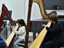 Harp Audition | Noëlle VERA