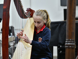 Harp Audition | Noëlle VERA