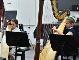 Harp Audition | Noëlle VERA