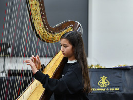 Harp Audition | Noëlle VERA