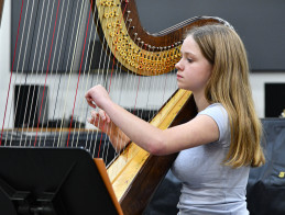 Harp Audition | Noëlle VERA