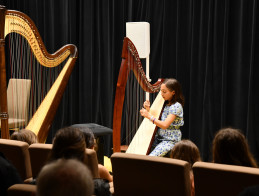 Audition de Harpe | Noëlle VERA